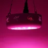 360W UFO 36 LED växer ljus - fullspektrum - dubbla chips - hydroponic