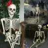 Human skeleton - Halloween decoration - 40cm