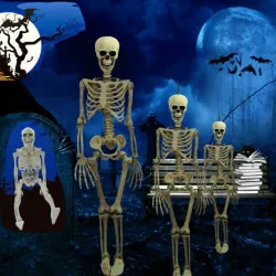 Human skeleton - Halloween decoration - 40cm