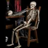 Human skeleton - Halloween decoration - 40cm