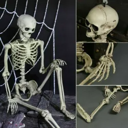 Human skeleton - Halloween decoration - 40cm