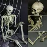 Szkielet człowieka w naturalnej wielkości - ruchomy - Halloweenowa dekoracja - 40cmHalloween & Impreza