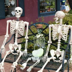 Human skeleton - Halloween decoration - 40cm
