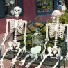 Human skeleton - Halloween decoration - 40cm