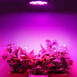 E27 - 36W - LED - oświetlenie do uprawy roślin - hydroponiczne - pełne spektrumLampa Wzrostu
