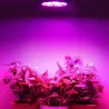 E27 - 36W - LED - lumière de croissance des plantes - hydroponique - spectre complet