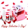 Gnome à longues jambes de la Saint-Valentin - poupée en peluche - 2 pièces