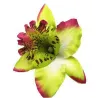 Fashionable flower hair clip - handmade - women / ladies