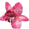 Modna spinka do włosów - ręcznie robiona - kwiat orchideiSpinki Do Włosów