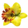 Modische Haarspange - Handarbeit - Blumenorchidee