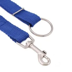Dog training - lead pull correction