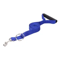 Dog training - lead pull correction