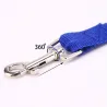 Dog training - lead pull correction
