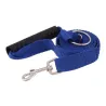 Dog training - lead pull correction