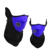 Masque Visage pour Moto Vélo Ski Snowboard