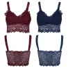 BH mit floraler Spitze - sexy Top - ohne Bügel - wattiert
