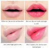 Aloe vera lip balm - color changing lipstick - moisturizing / long lasting