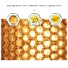 Aloe vera lip balm - color changing lipstick - moisturizing / long lasting