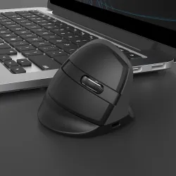 Delux M618Mini GX - 2,4 GHz - 6 Tasten - kabellose Maus - vertikal - ergonomisch - USB