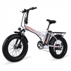 Electric bike - big tire - foldable - 500W4.0 - 48V lithium battery