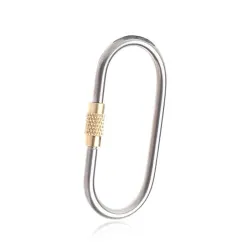 Karabijnhaak van titaniumlegering - sleutelhanger - met slotgesp - kamperen / wandelenSleutelhangers