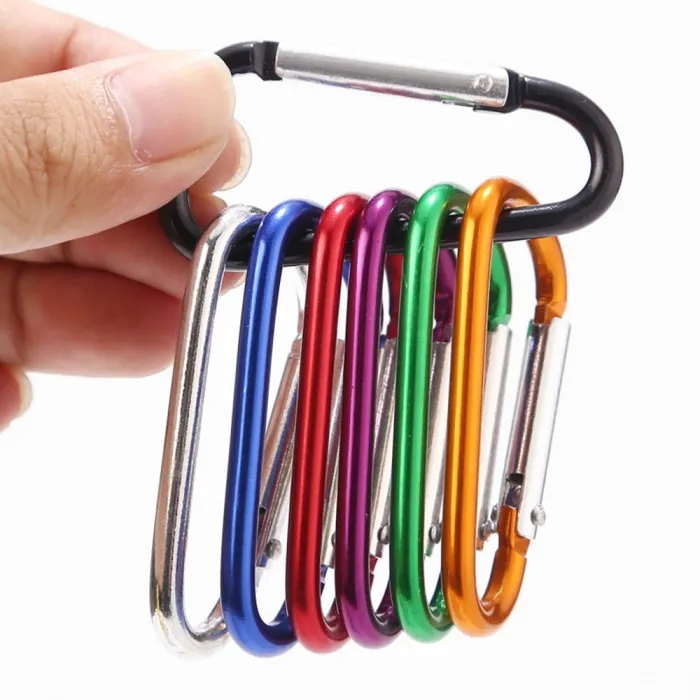 Legering karabijnhaak met gesp - sleutelhanger - 5 stuksSleutelhangers