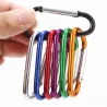 Legering karabijnhaak met gesp - sleutelhanger - 5 stuksSleutelhangers