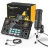 LITE AM200-S1 - All-in-One-Mikrofon - Mixer-Kit - Audio-Interface - mit Kondensatormikrofon / Ohrhörern