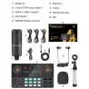 LITE AM200-S1 - alles-in-een microfoon - mixer kit - audio interface - met condensator microfoon / koptelefoonMicrofonen
