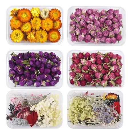 Gedroogde bloemen - chrysant - hars ambacht / sieraden maken / kristal epoxyhars vullingKunstbloemen