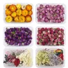 Gedroogde bloemen - chrysant - hars ambacht / sieraden maken / kristal epoxyhars vullingKunstbloemen