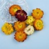 Dried flowers - chrysanthemum - crystal epoxy resin filling - crafts - decoration - DIY