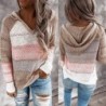 Meerkleurige sweater met capuchon - stikpatroonHoodies & Truien
