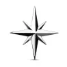 3D ster - auto / motor sticker - metalen embleemStickers