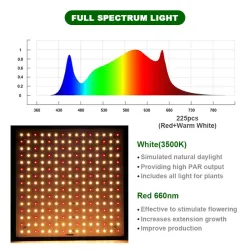 Luces de cultivoIndoor led lighting - 1000W / 3500K - for growing plants / flowers - heating