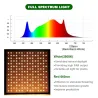 LED plantengroeilamp - phyto lamp - volledig spectrum - 1000W - 3500KKweeklampen