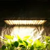 Luces de cultivoIndoor led lighting - 1000W / 3500K - for growing plants / flowers - heating