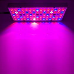 LED plant grow light - full spectrum - hydroponic lamp - 25W / 45W / 120W