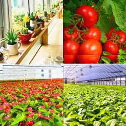 LED plant grow light - full spectrum - hydroponic lamp - 25W / 45W / 120W