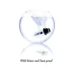 Car headlamp - HID - Xenon bulb - D4R / D4S / D2R / D2S - 12V / 35W - 2 piecesXenon