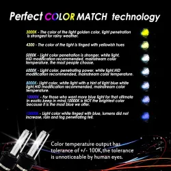 Autoscheinwerfer - HID - Xenonbirne - D4R / D4S / D2R / D2S - 12V / 35W - 2 Stück