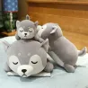 Liggende Husky hond - knuffel - kussenKnuffels