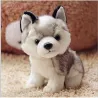 Cane Husky - peluche - 18cm