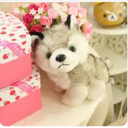 Cane Husky - peluche - 18cm