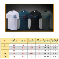 Herren Sport T-Shirt - atmungsaktiv - elastisch - schnell trocknend