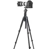 Professioneel hoog statief - monopod - standaard - snel klapslot - CNC 36 mm kogelkop - voor DSLR-camera - 201 cmStatieven en...
