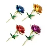 Elegante Brosche - Emaille Rose