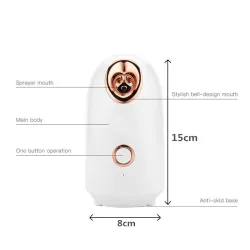 Vapeur visage - home SPA - hydratation de la peau - spray / brume