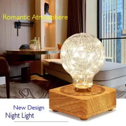 Modern LED night light - USB - copper wire string bulb
