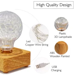Modern LED night light - USB - copper wire string bulb